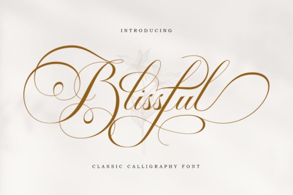 A Real Campaign Review of Blissful: An Elegant Script Font