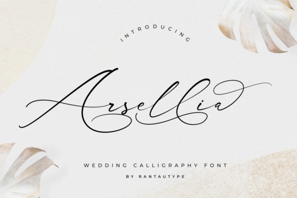 Arsellia: A Script Font Built for Modern Campaigns