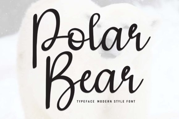 Choosing Polar Bear Font for Web Design and Digital Branding